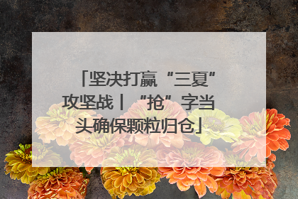坚决打赢“三夏”攻坚战丨“抢”字当头确保颗粒归仓
