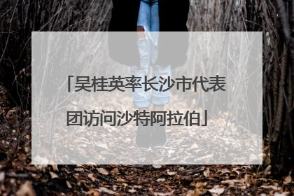 吴桂英率长沙市代表团访问沙特阿拉伯