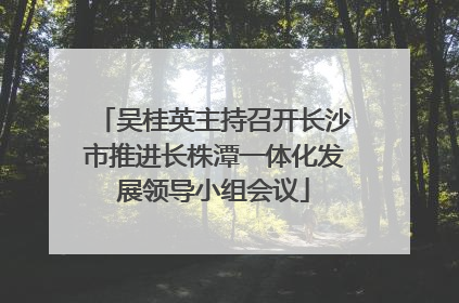 吴桂英主持召开长沙市推进长株潭一体化发展领导小组会议
