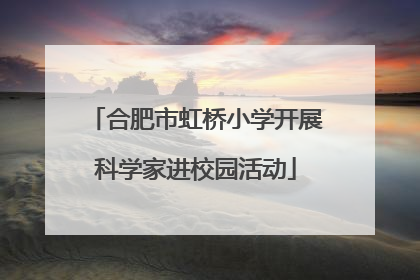 合肥市虹桥小学开展科学家进校园活动