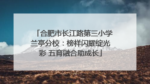 合肥市长江路第三小学兰亭分校：榜样闪耀绽光彩 五育融合助成长