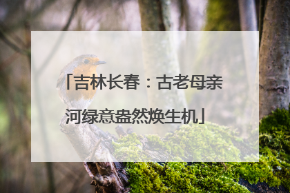 吉林长春：古老母亲河绿意盎然焕生机