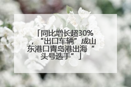 同比增长超30%，“出口车辆”成山东港口青岛港出海“头号选手”