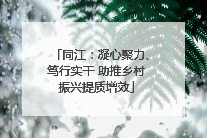 同江：凝心聚力、笃行实干 助推乡村振兴提质增效