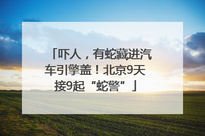 吓人，有蛇藏进汽车引擎盖！北京9天接9起“蛇警”