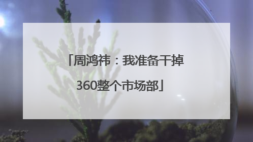 周鸿祎：我准备干掉360整个市场部