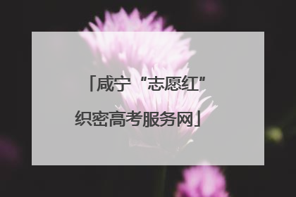 咸宁“志愿红”织密高考服务网