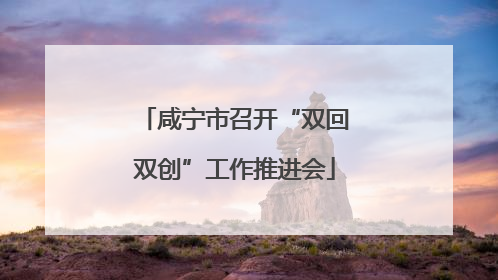 咸宁市召开“双回双创”工作推进会