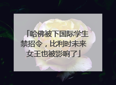 哈佛被下国际学生禁招令，比利时未来女王也被影响了