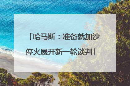 哈马斯：准备就加沙停火展开新一轮谈判