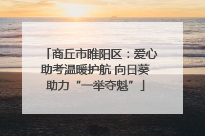 商丘市睢阳区：爱心助考温暖护航 向日葵助力“一举夺魁”