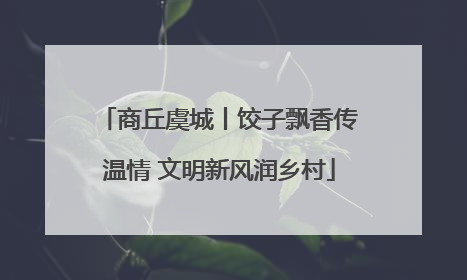 商丘虞城丨饺子飘香传温情 文明新风润乡村