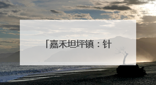 嘉禾坦坪镇：针织产业解锁村民致富“新模式”
