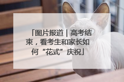 图片报道｜高考结束，看考生和家长如何“花式”庆祝