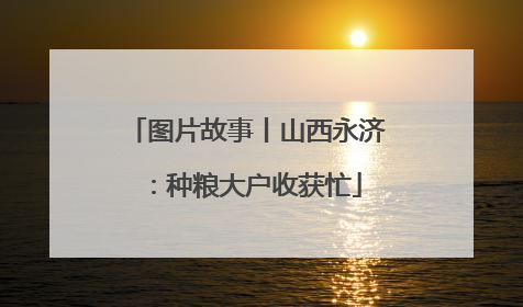 图片故事丨山西永济：种粮大户收获忙