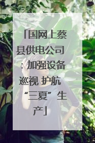 国网上蔡县供电公司：加强设备巡视 护航“三夏”生产