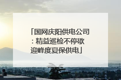 国网庆阳供电公司：精益巡检不停歇 迎峰度夏保供电