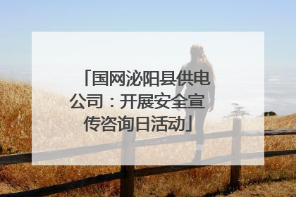 国网泌阳县供电公司：开展安全宣传咨询日活动