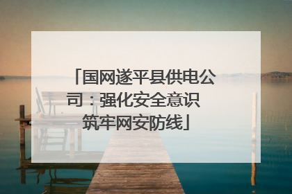 国网遂平县供电公司：强化安全意识 筑牢网安防线