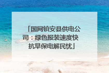 国网镇安县供电公司：绿色报装速度快 抗旱保电解民忧