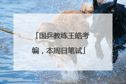 国乒教练王皓考编，本周日笔试
