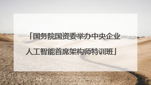 国务院国资委举办中央企业人工智能首席架构师特训班