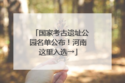 国家考古遗址公园名单公布！河南这里入选→