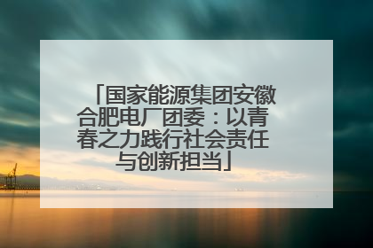 国家能源集团安徽合肥电厂团委：以青春之力践行社会责任与创新担当