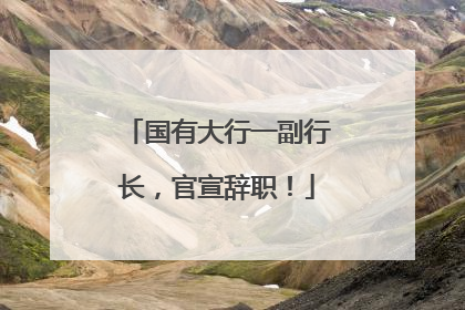 国有大行一副行长，官宣辞职！