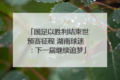国足以胜利结束世预赛征程 湖南球迷：下一届继续追梦