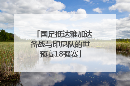 国足抵达雅加达备战与印尼队的世预赛18强赛