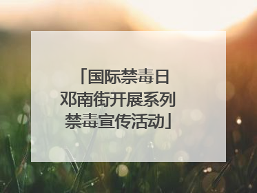 国际禁毒日 邓南街开展系列禁毒宣传活动