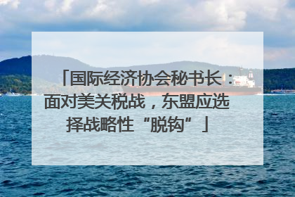 国际经济协会秘书长：面对美关税战，东盟应选择战略性“脱钩”