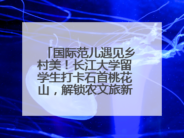 国际范儿遇见乡村美！长江大学留学生打卡石首桃花山，解锁农文旅新玩法！