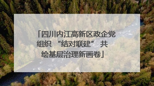 四川内江高新区政企党组织 “结对联建” 共绘基层治理新画卷