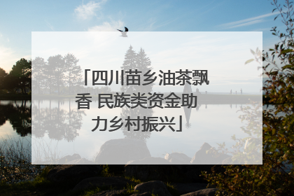 四川苗乡油茶飘香 民族类资金助力乡村振兴