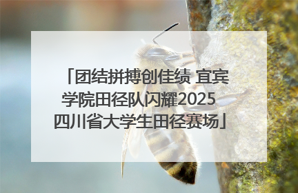 团结拼搏创佳绩 宜宾学院田径队闪耀2025四川省大学生田径赛场