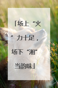 场上“火”力十足，场下“湘”当韵味