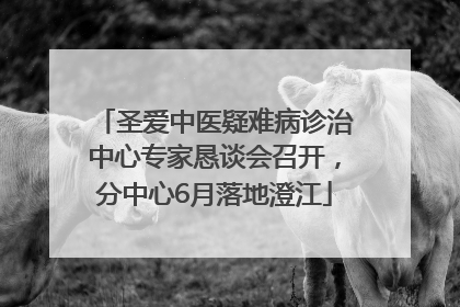圣爱中医疑难病诊治中心专家恳谈会召开，分中心6月落地澄江