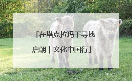 在塔克拉玛干寻找唐朝｜文化中国行