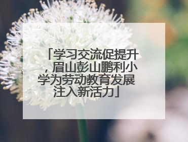 学习交流促提升，眉山彭山鹏利小学为劳动教育发展注入新活力