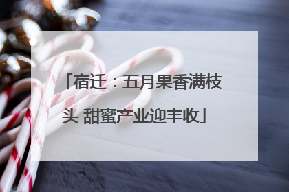 宿迁：五月果香满枝头 甜蜜产业迎丰收