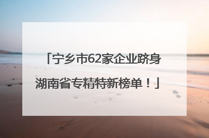 宁乡市62家企业跻身湖南省专精特新榜单！
