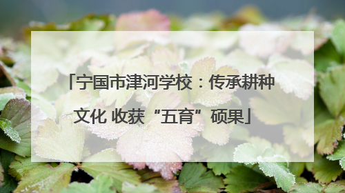 宁国市津河学校：传承耕种文化 收获“五育”硕果