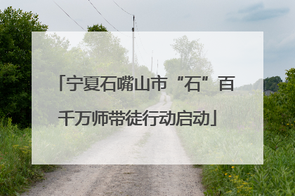 宁夏石嘴山市“石”百千万师带徒行动启动