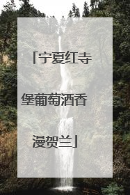 宁夏红寺堡葡萄酒香漫贺兰