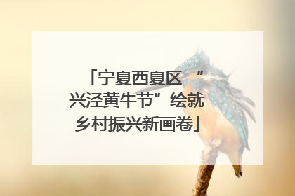宁夏西夏区 “兴泾黄牛节”绘就乡村振兴新画卷