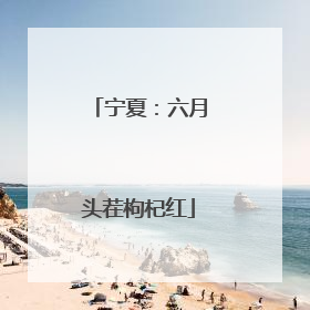 宁夏：六月头茬枸杞红