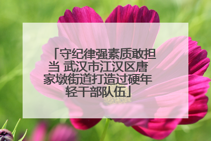 守纪律强素质敢担当 武汉市江汉区唐家墩街道打造过硬年轻干部队伍