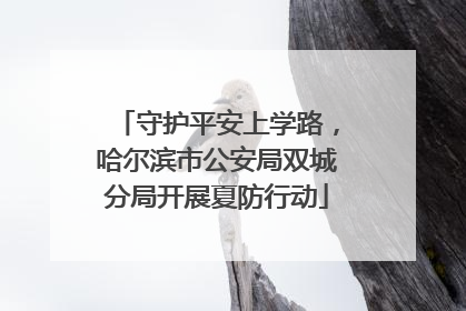 守护平安上学路，哈尔滨市公安局双城分局开展夏防行动